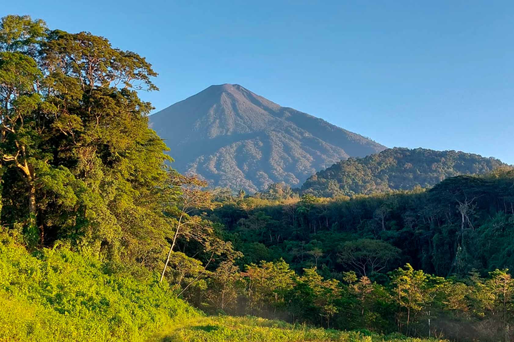 17 datos interesantes de la Reserva Natural Privada El Refugio del Quetzal 17 datos interesantes de la Reserva Natural Privada El Refugio del Quetzal