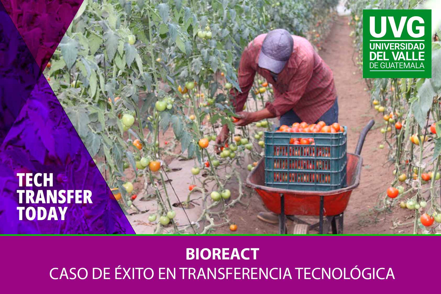 BioReact: Caso de éxito en transferencia tecnológica BioReact: Caso de éxito en transferencia tecnológica