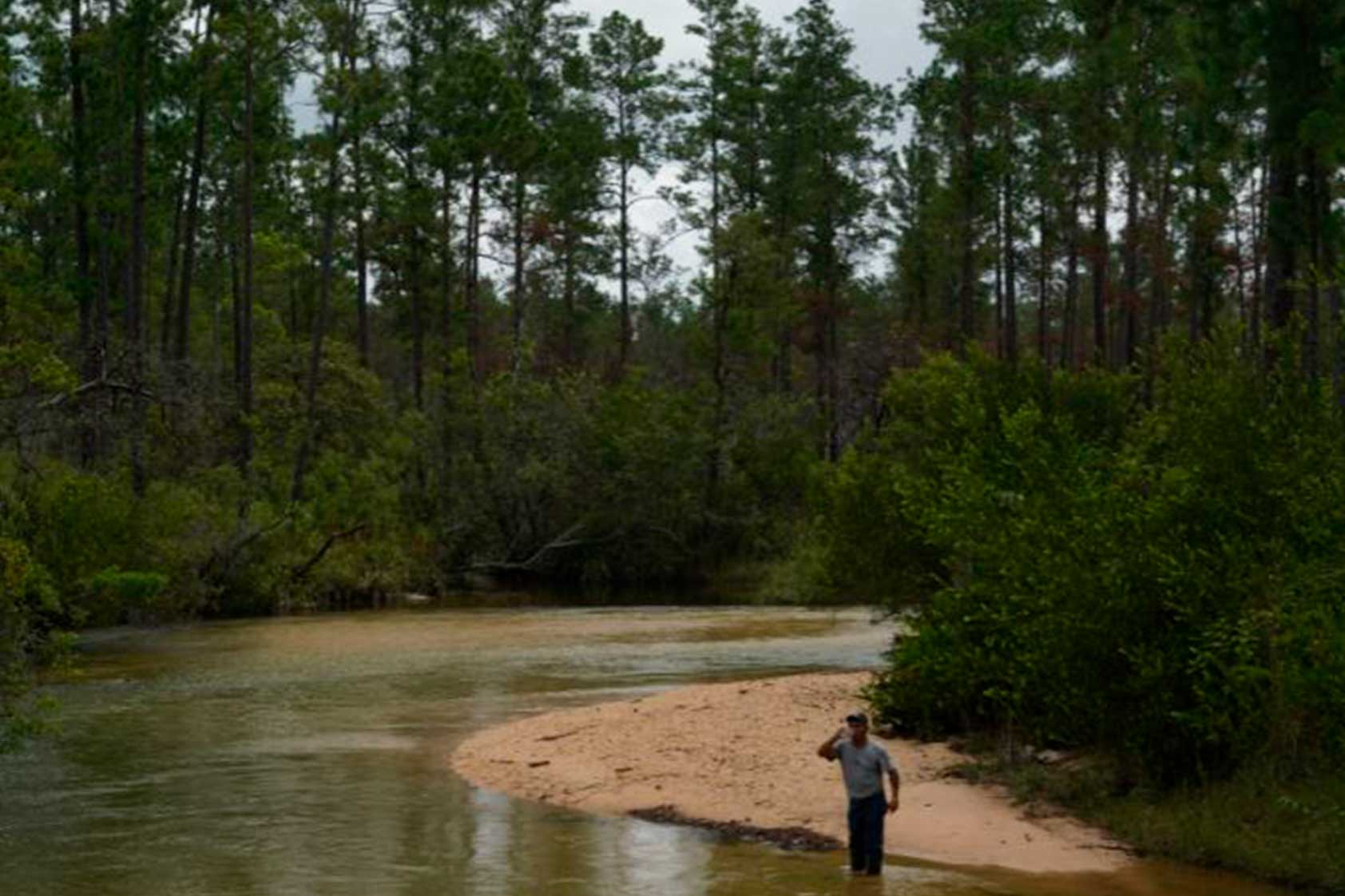 Los pueblos indígenas tienen un papel crucial en la conservación de bosques Los pueblos indígenas tienen un papel crucial en la conservación de bosques
