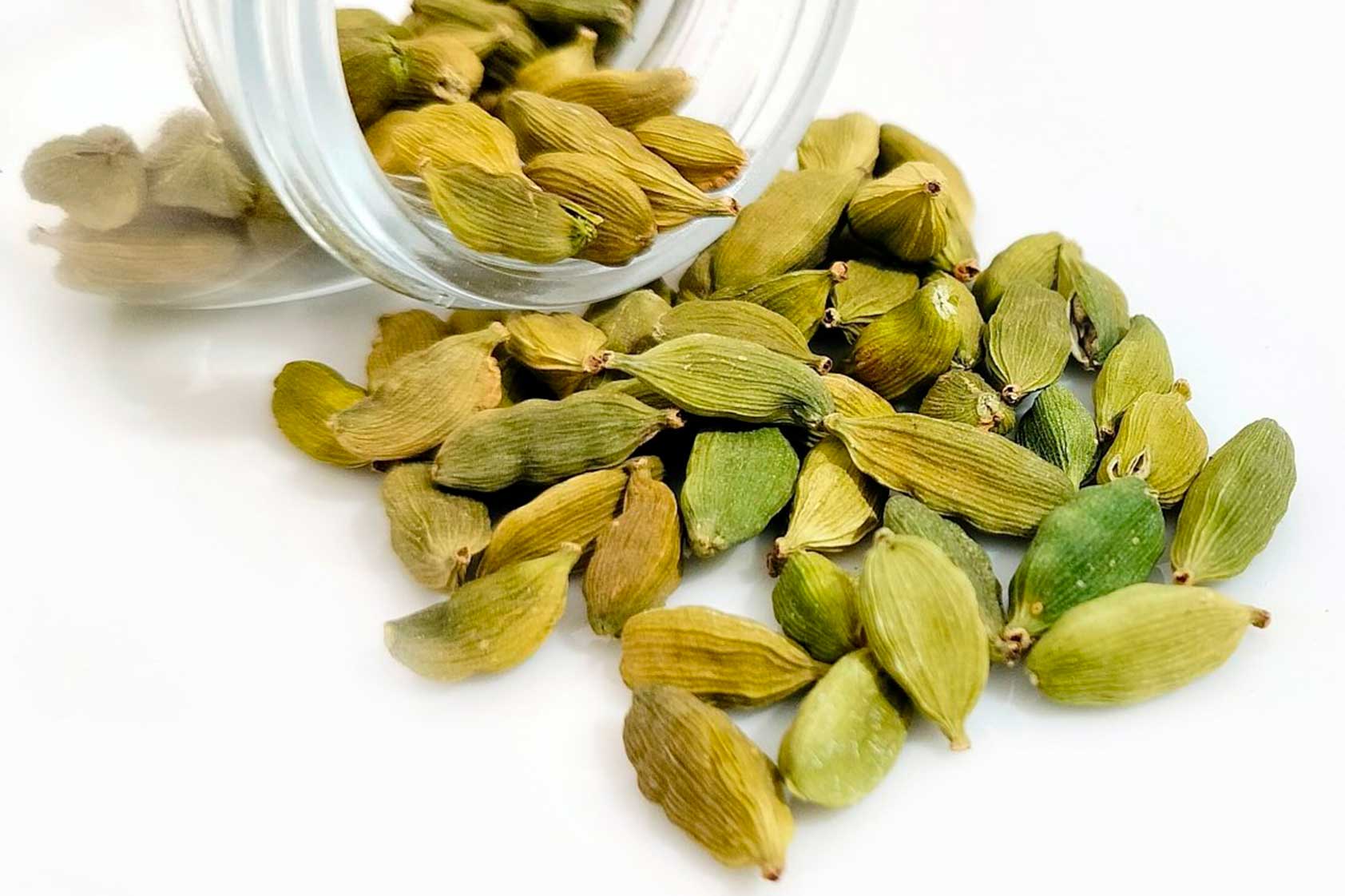 CEAA-UVG desarrolla secador de cardamomo para pequeños y medianos productores