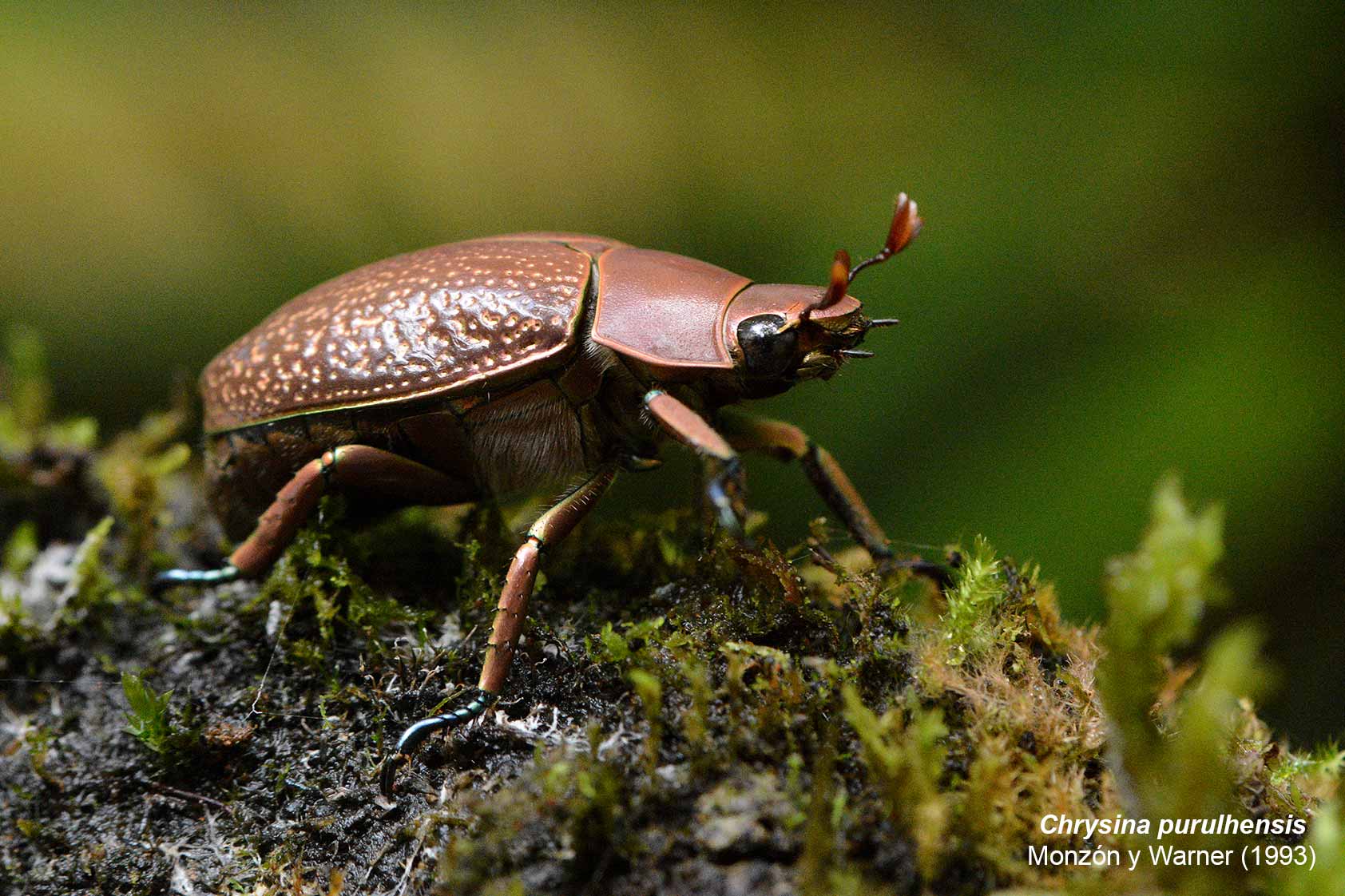 UVG es la primera universidad del país en obtener registro jurídico ante CONAP