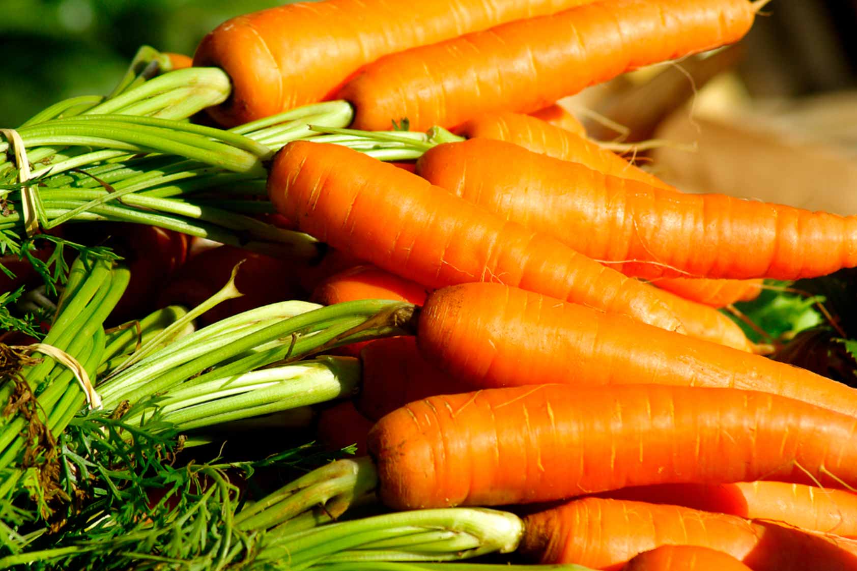 Como recién salido del laboratorio:Mitos y realidades de los alimentos genéticamente modificados