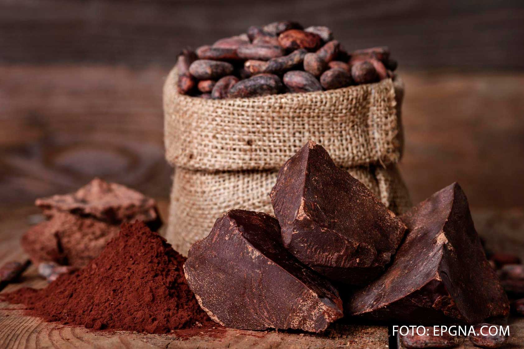 Estudiantes exploran la relación del cacao con la cosmovisión maya en proyecto de etnobotánica