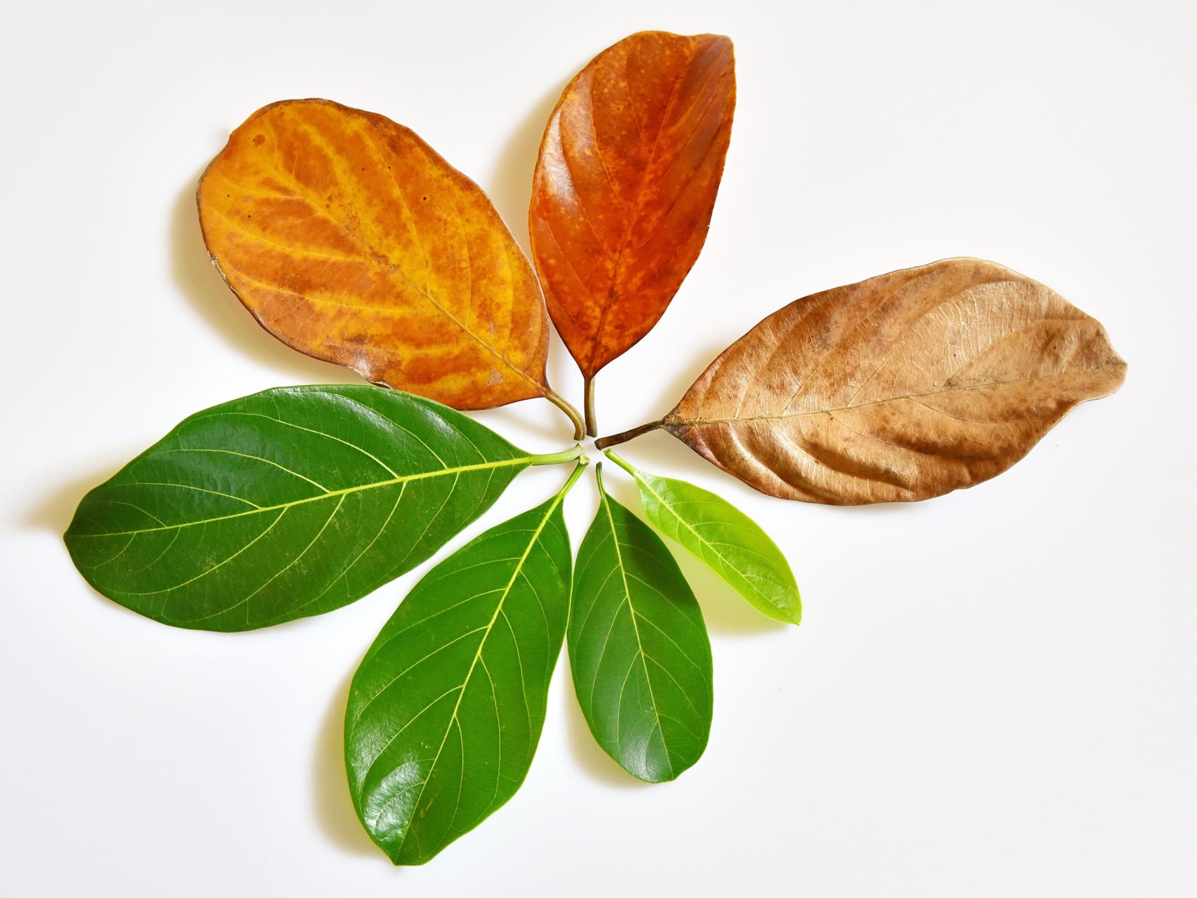 shutterstock_386804494 shutterstock_386804494