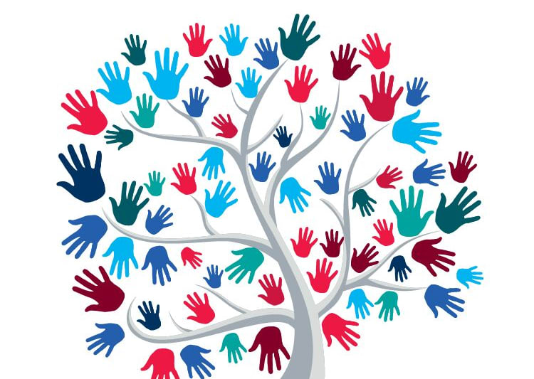 diversity tree diversity tree