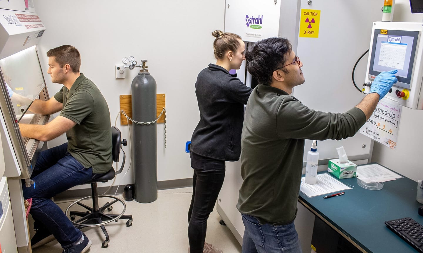 Researchers working in a lab
