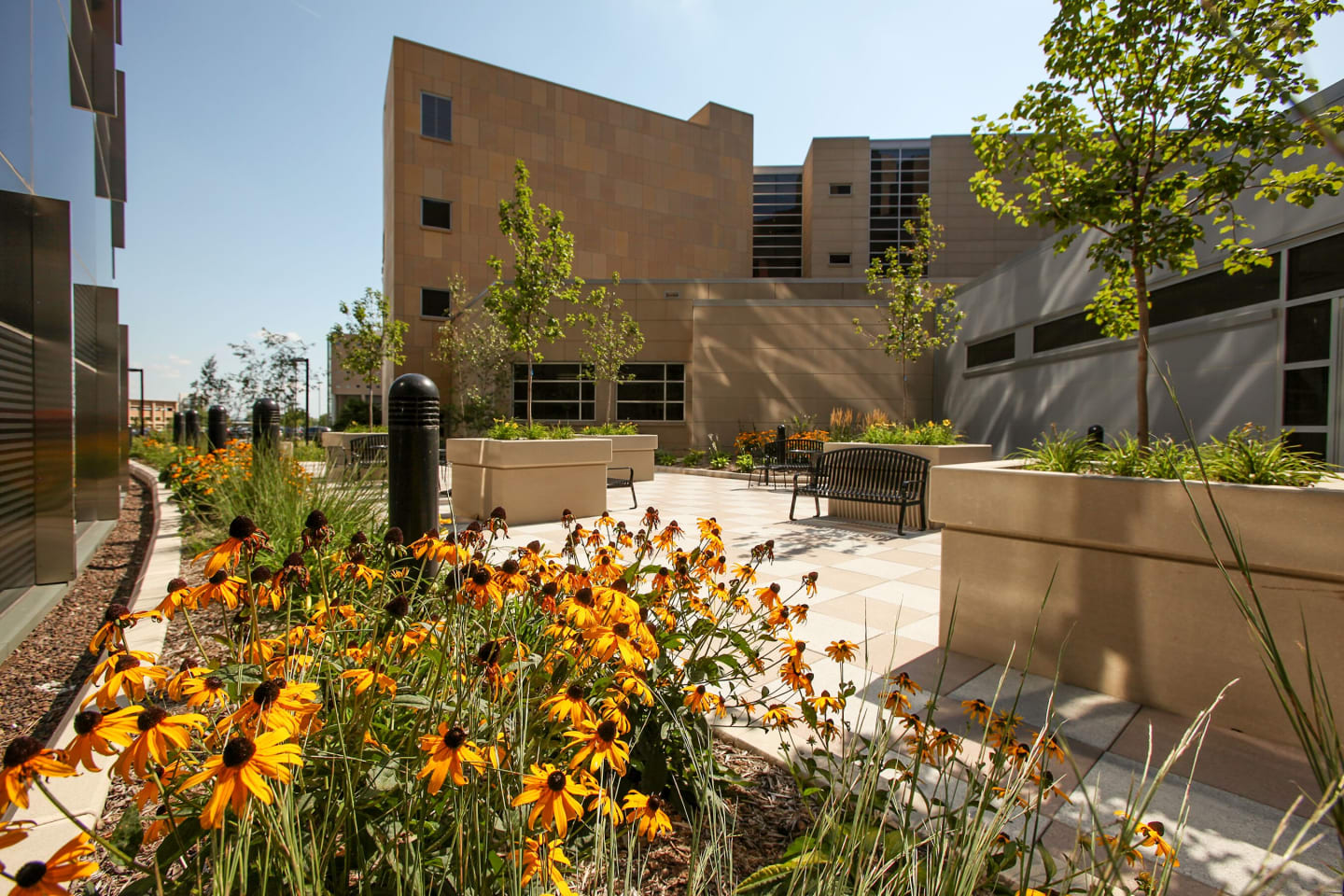 A garden courtyard surrounded by buildings