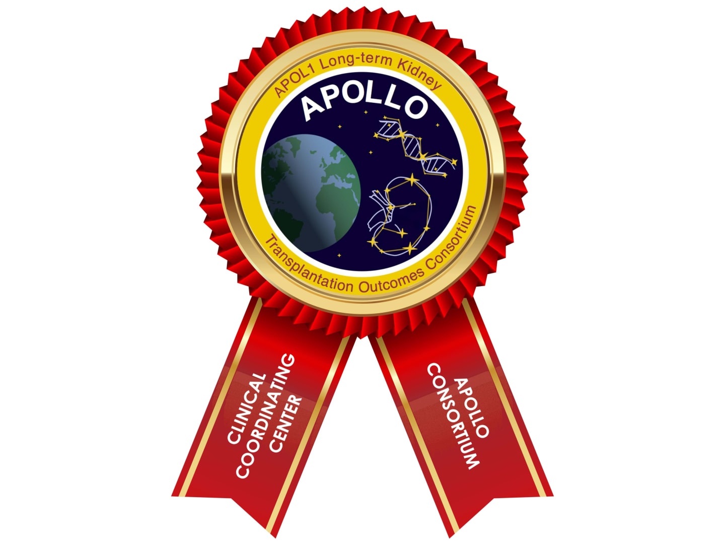 A ribbon that signifies participation in the APOLLO kidney transplant outcomes study