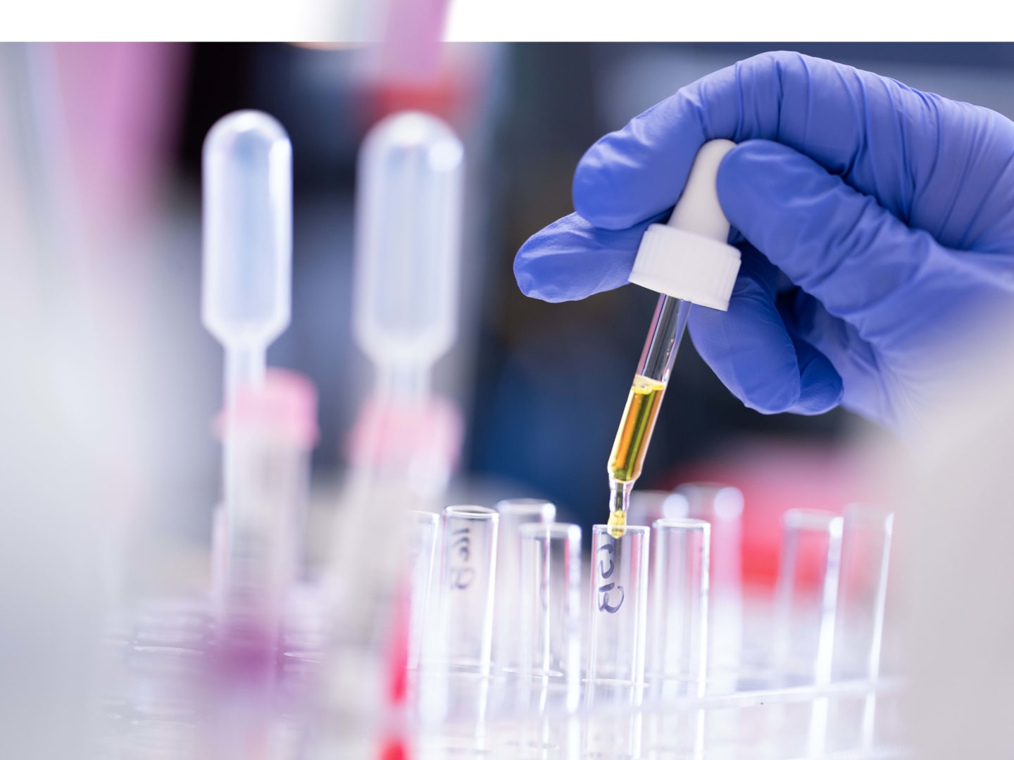 Hand in purple glove holding a dropper over a test tube