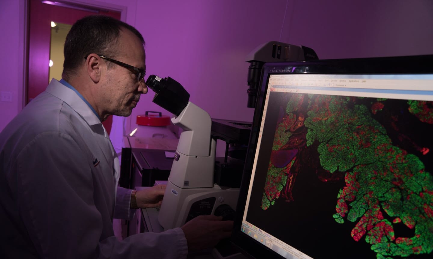 A scientist looking through a stereoscope next to a cellular-level image on a screen