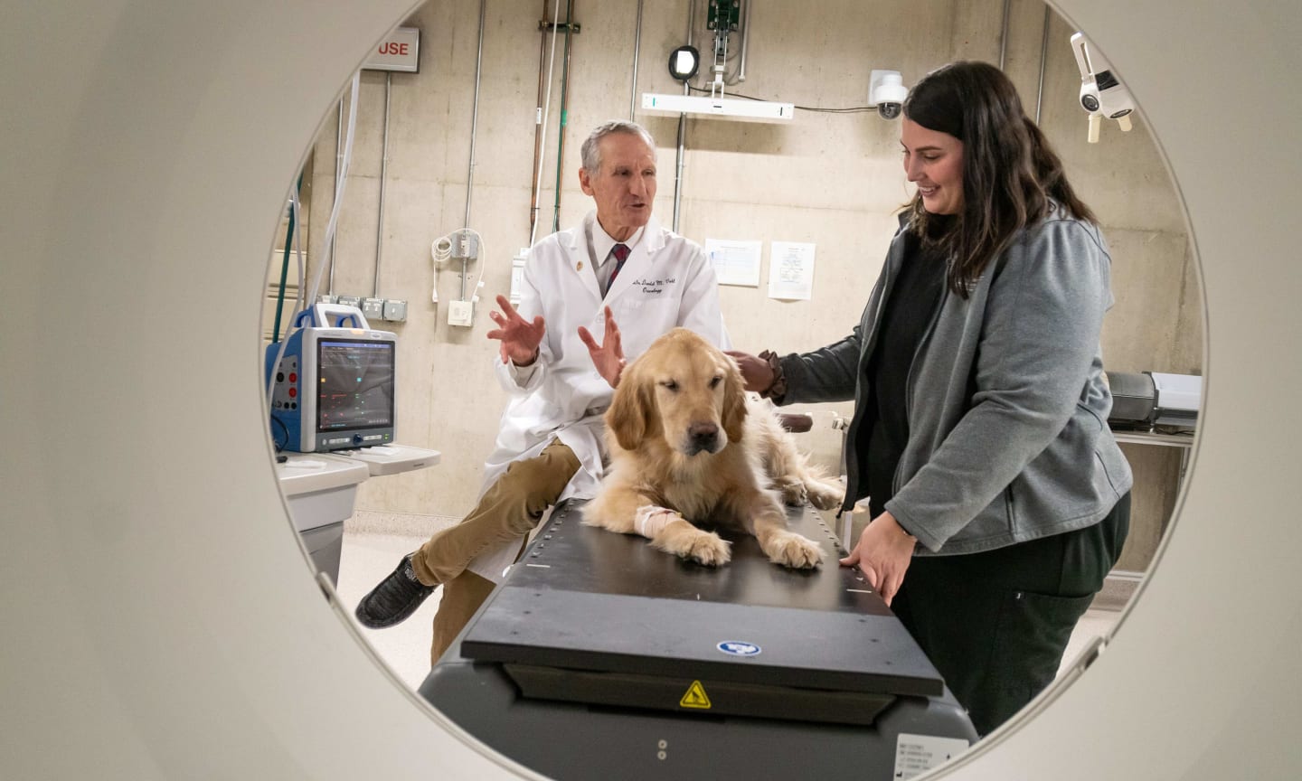 Two people talking next to a dog on a table