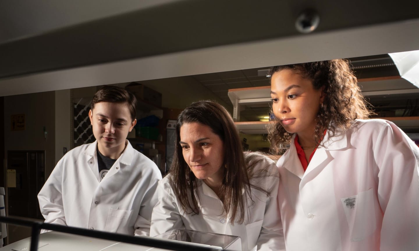 Three researchers hover over a lab bench
