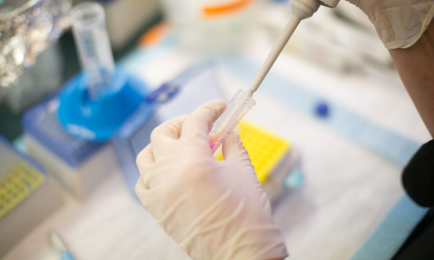 Close up of hands working in a laboratory setting