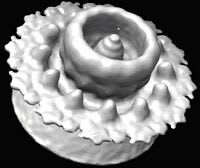 A 3D image of a virus