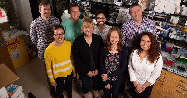 Sherer Lab sets their sites on viruses | UW Health