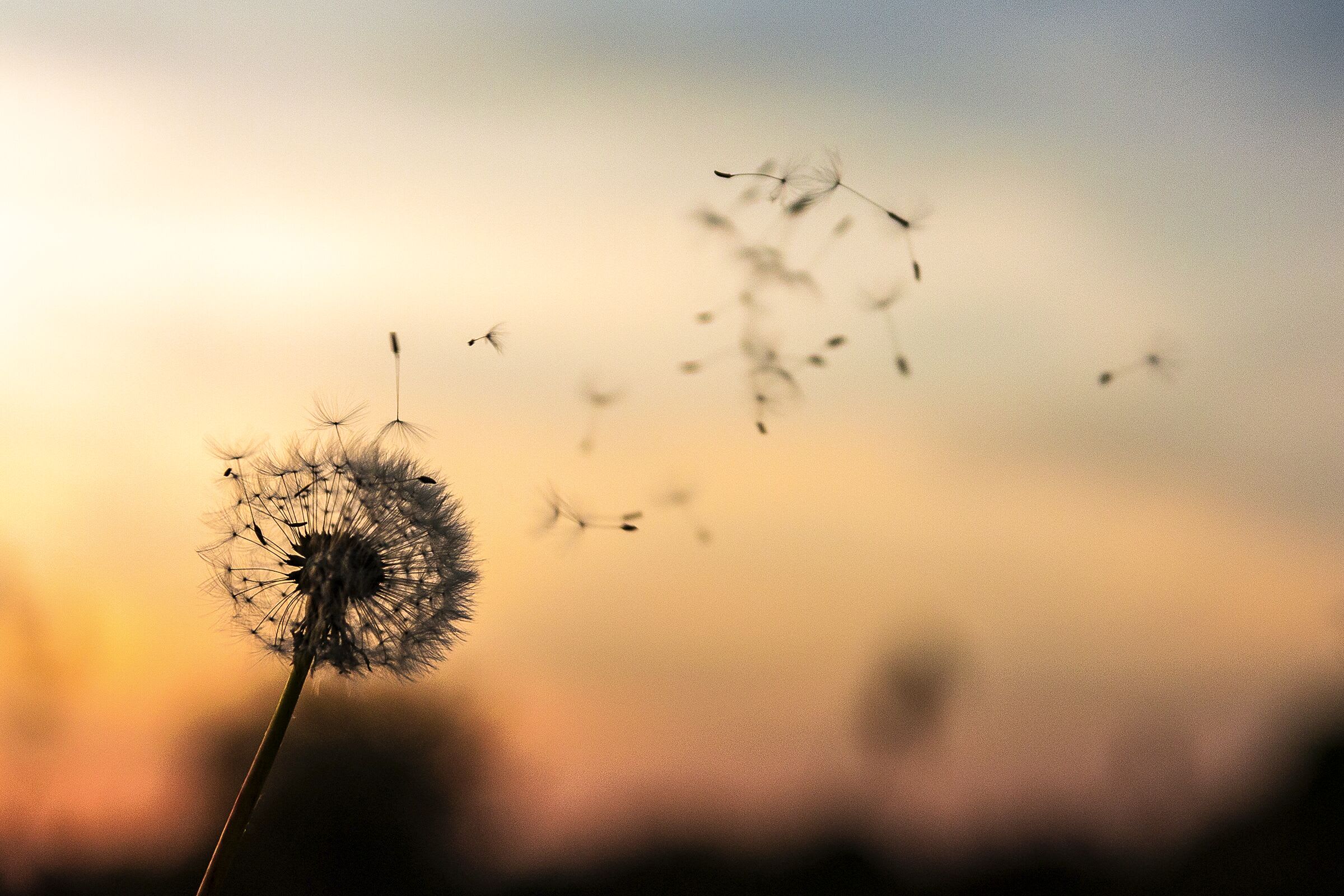 UW Health Mindfulness-Based Stress Reduction — practitioner in Madison, WI