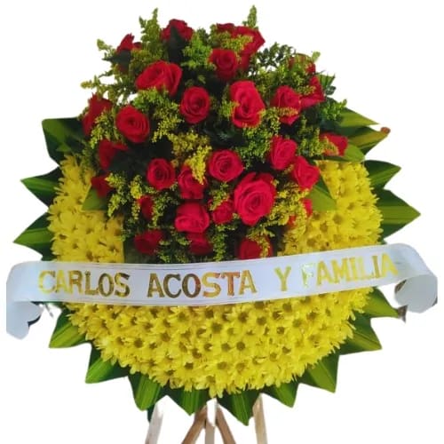 Funeraria Los Olivos Valledupar