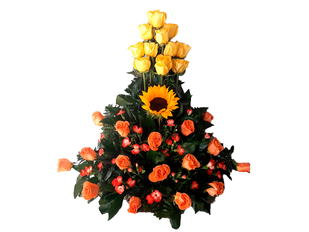 Flores económicas en Valledupar