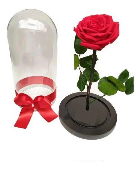 Rosas preservadas en Valledupar