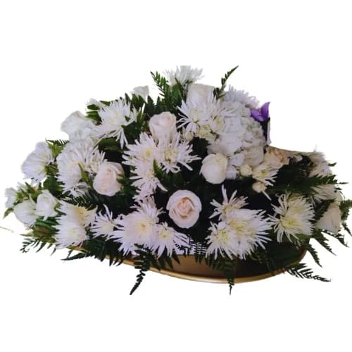 Funeraria Inversiones y Planes de La Paz Valledupar