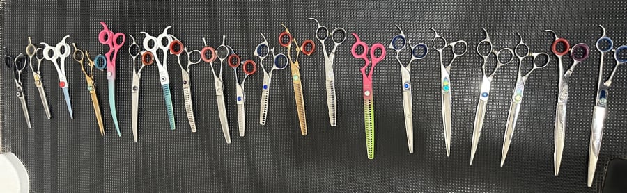 A long row of professional dog grooming shears laid out on a grooming mat