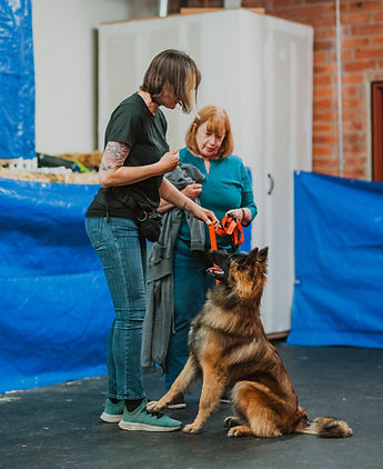 Alexia Rodriguez training a German Shepherd with her mentors