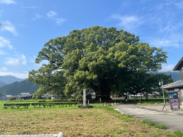 徳島県のツーリングスポット 加茂のオオクス