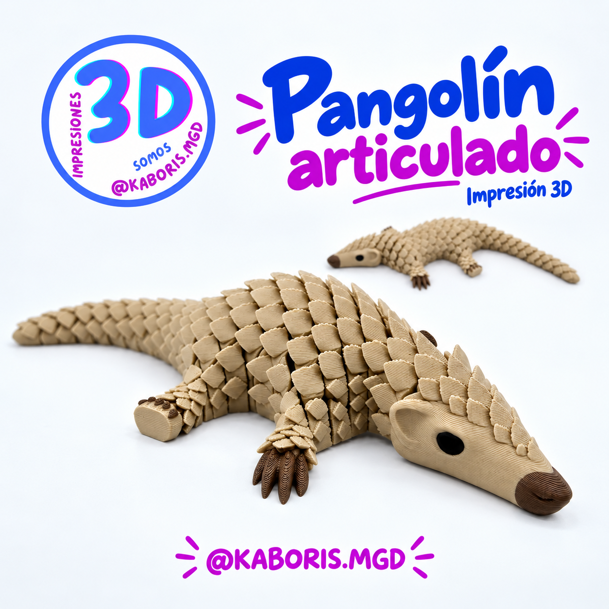 Pangolin