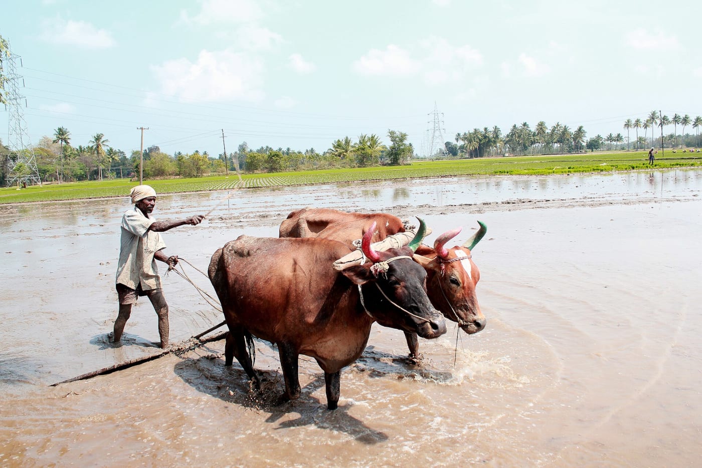 This media file was uploaded as a part of the TamilWiki Media Contest .