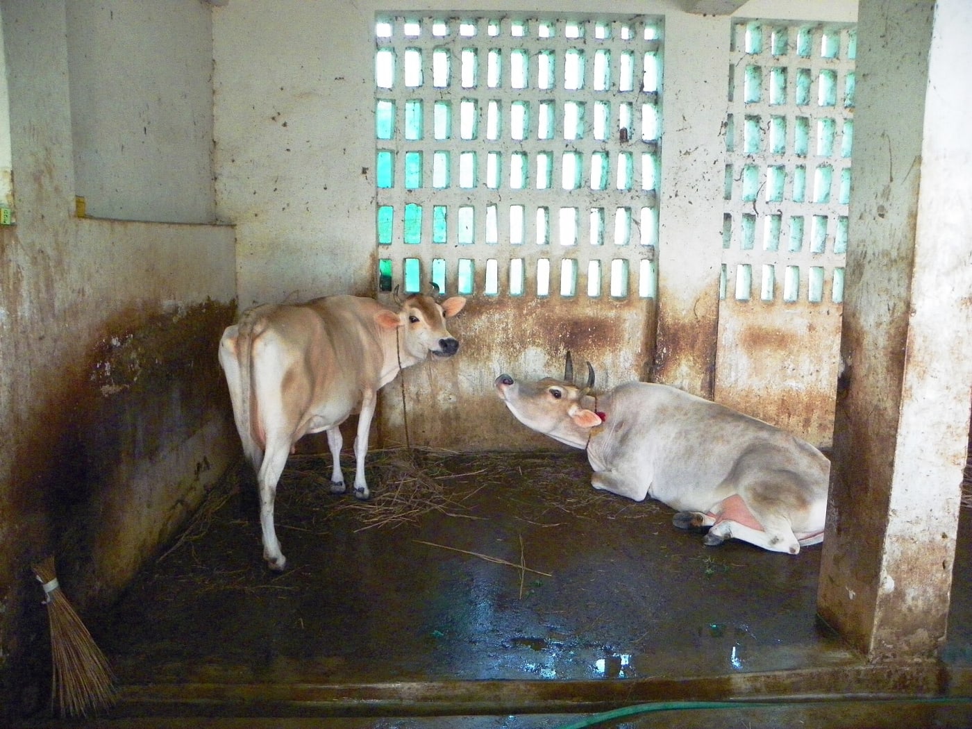 "Cottage Industries" Colony of Leprosy Affected Persons a href=" http://www.karunalaya.net " rel="nofollow" www.karunalaya.net /a On the agr