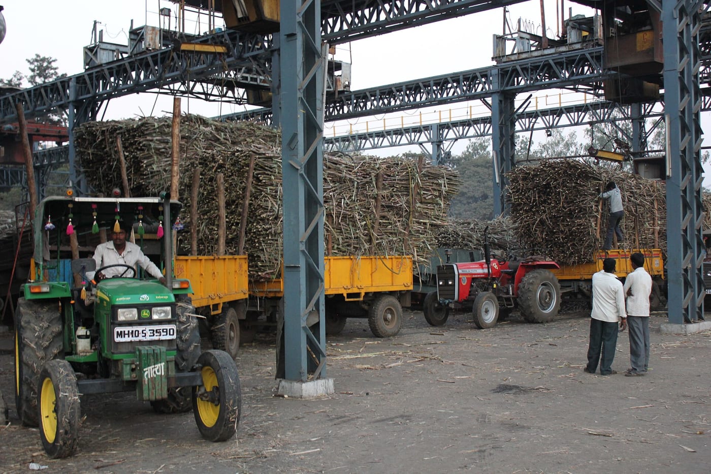 Weighing of sugarcane at a cooperative sugarmill in Maharashtra India,