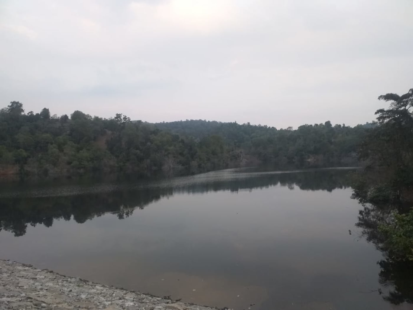 The dam is located in Mamer village (24.172248, 73.134728) in Kotra tehsil, Udaipur district, Rajasthan, India
