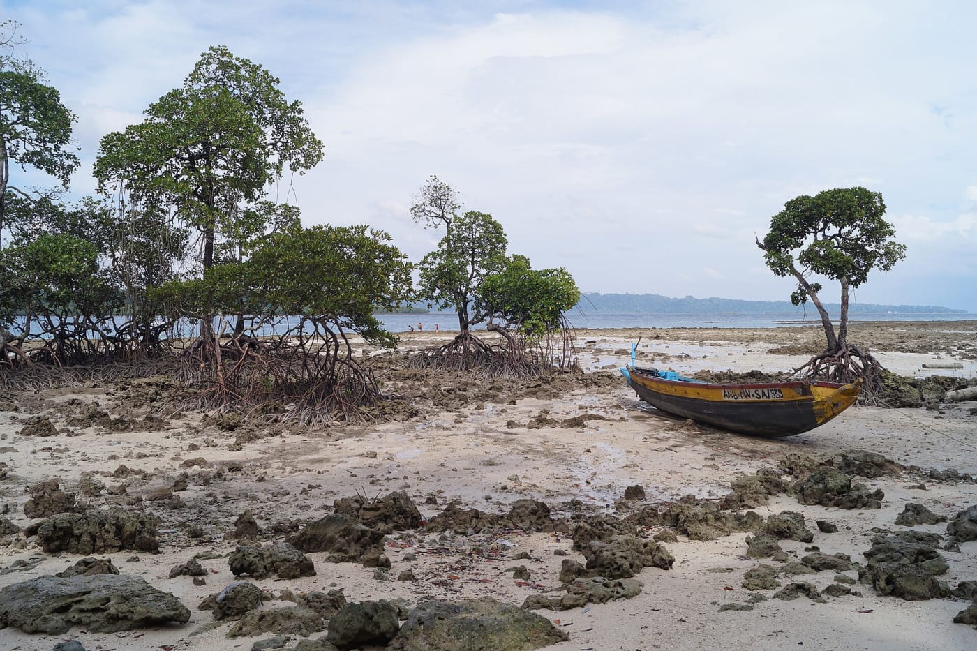 Radhanagar Beach in the Havelock, Andaman and Nicobar Islands