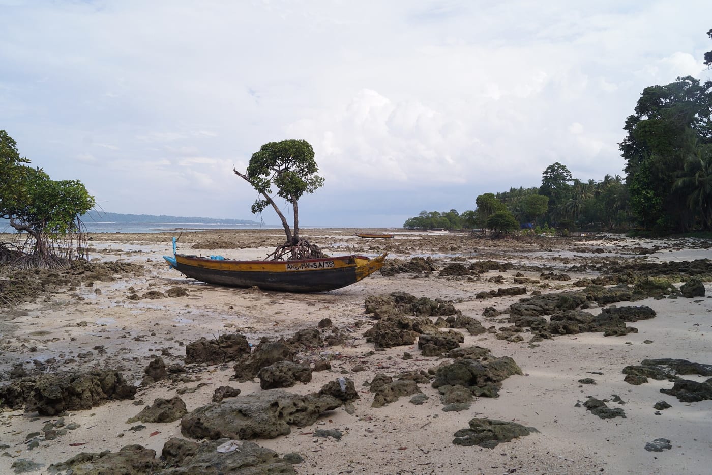 Radhanagar Beach in the Havelock Islands, Andaman and Nicobar Islands