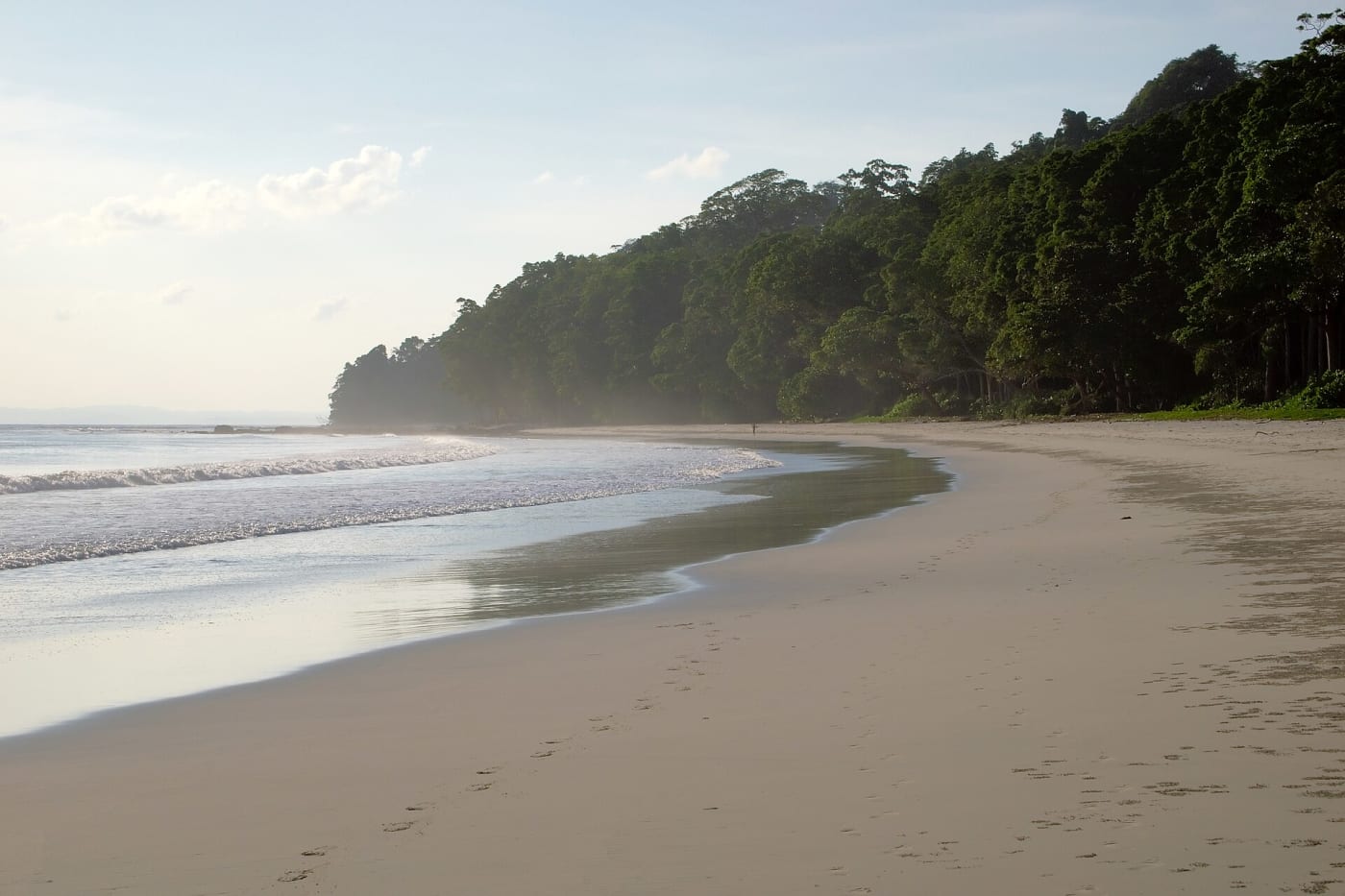 Havelock Island, Andaman Sea, Andaman and Nicobar Islands, India.