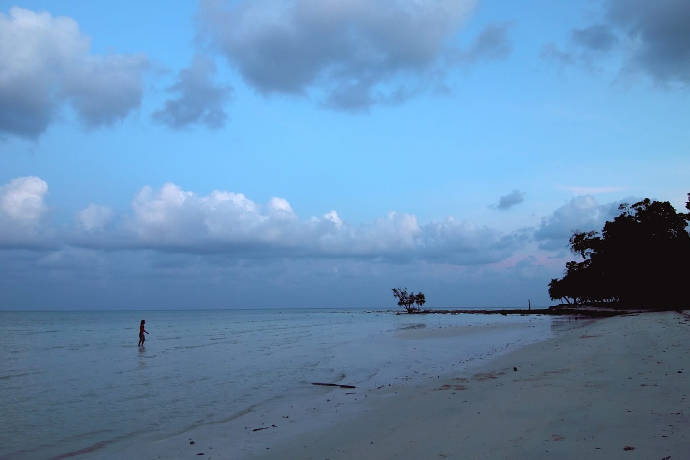 Havelock Island, Andaman Sea, Andaman and Nicobar Islands, India.