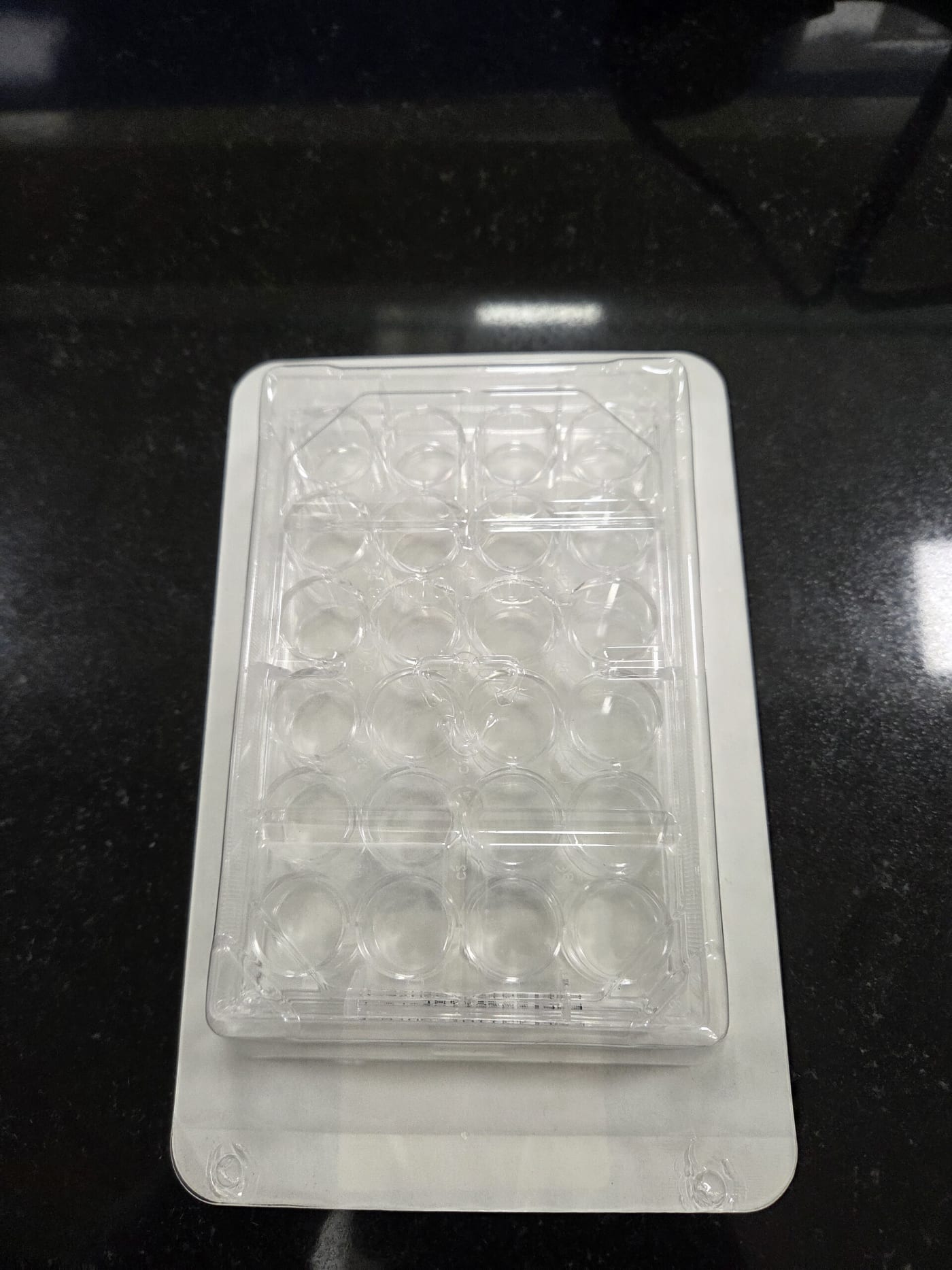 A clear, sterile 24-well cell culture plate (microplate) typically used in biological and biomedical research. Each well provides an isolate