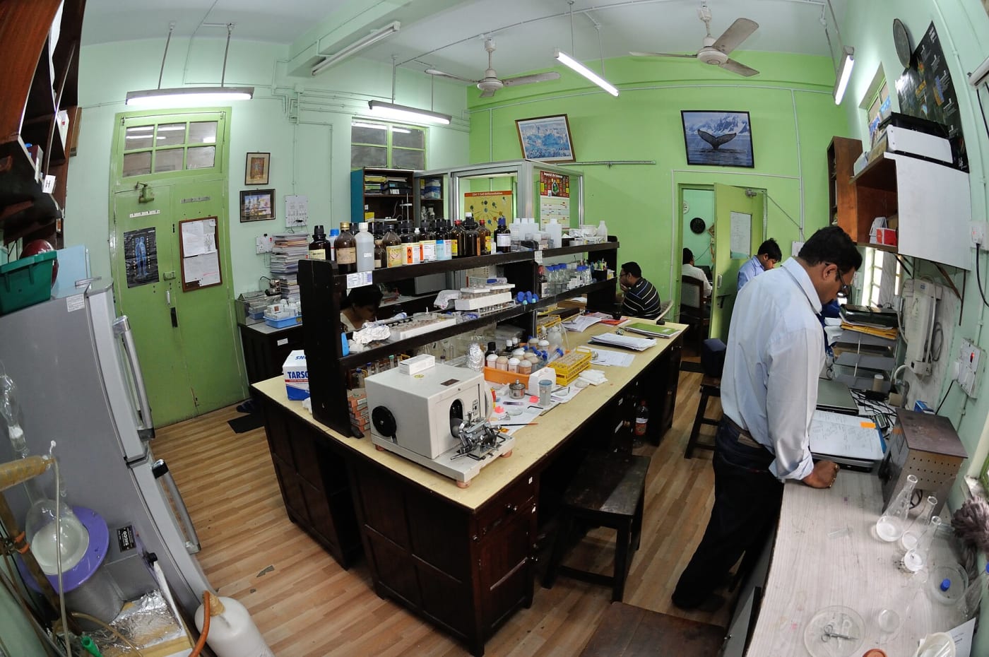 Photographed in Kolkata.