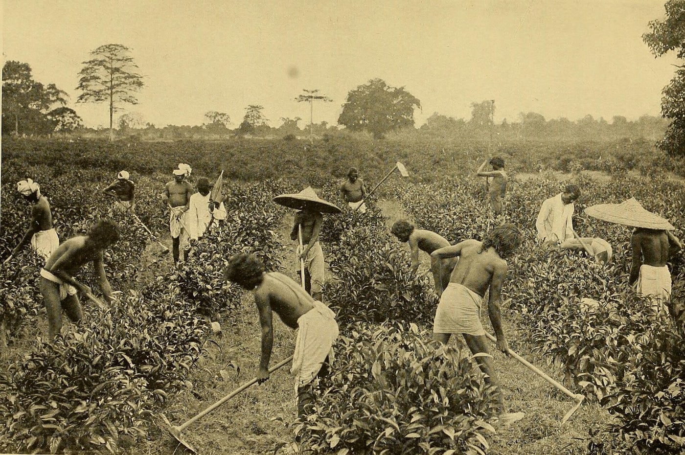 Identifier : empireofindia01full ( find matches ) Title : The empire of India Year : 1913 ( 1910s ) Authors : Fuller, Bampfylde, Sir, 1854-1