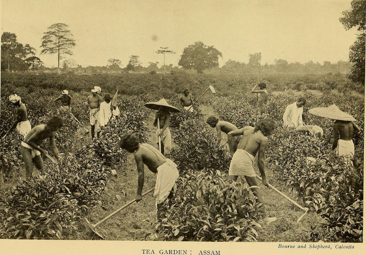 Identifier : empireofindia01full ( find matches ) Title : The empire of India Year : 1913 ( 1910s ) Authors : Fuller, Bampfylde, Sir, 1854-1