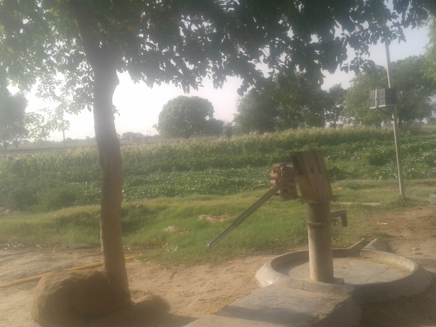 uttarpardesh