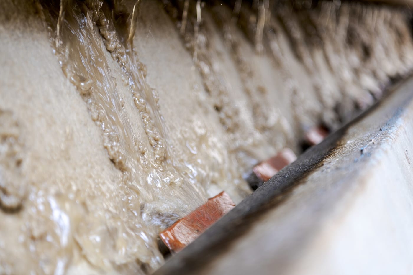 Bagasse (sugarcane residue) pulp being processed at Pakka Limited's mill in Ayodhya, Uttar Pradesh, India