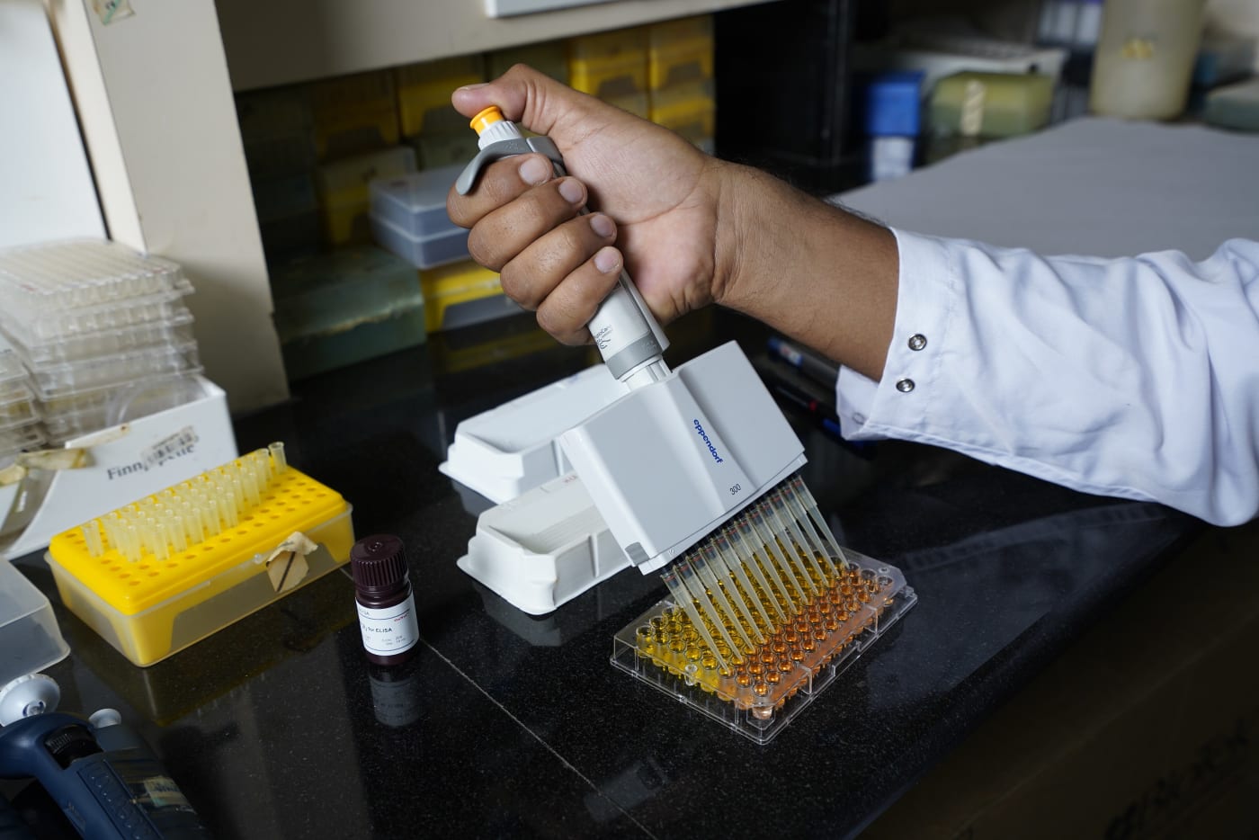 A scientist at work in a laboratory of CCMB, Hyderabad.