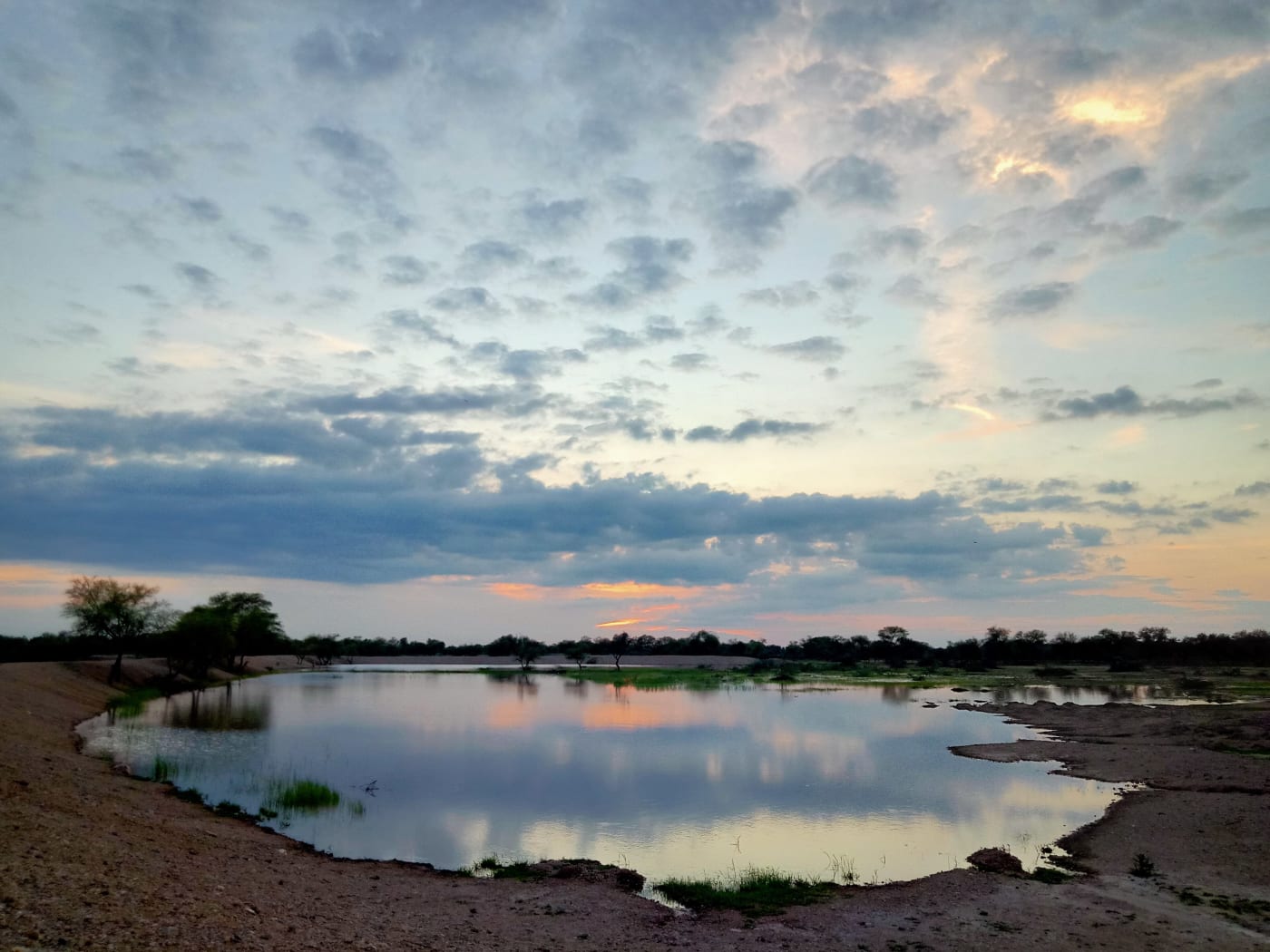 A traditional village pond (nadi) in Laporiya, Rajasthan.