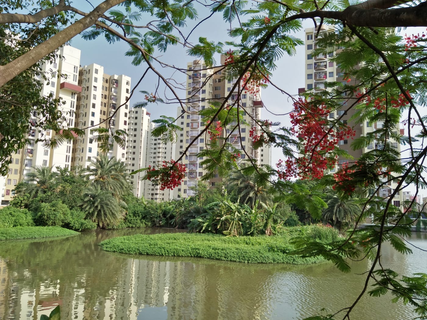 Residential towers of the Avidipta Housing Complex beside a water body in Mukundapur, Kolkata, West Bengal.