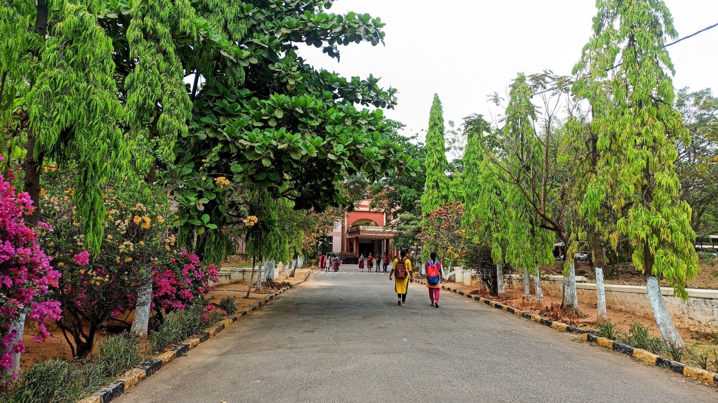 Students on a tree-lined avenue at Dr. B.R. Ambedkar Open University, Hyderabad, Telangana.