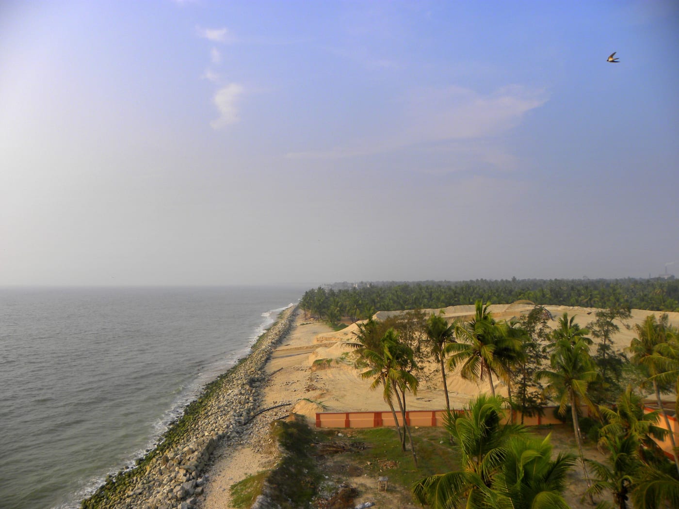 The mineral-sand coast at Chavara in Kollam, Kerala, seen from the Kovilthottam lighthouse.