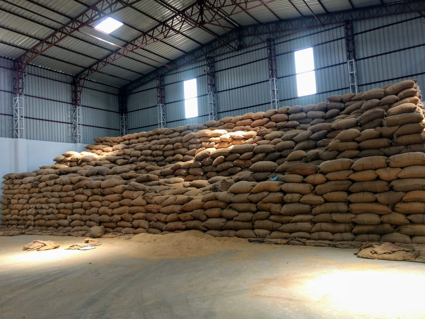 Harvested paddy stored in sacks at a warehouse in Chamorshi, Gadchiroli district, Maharashtra.