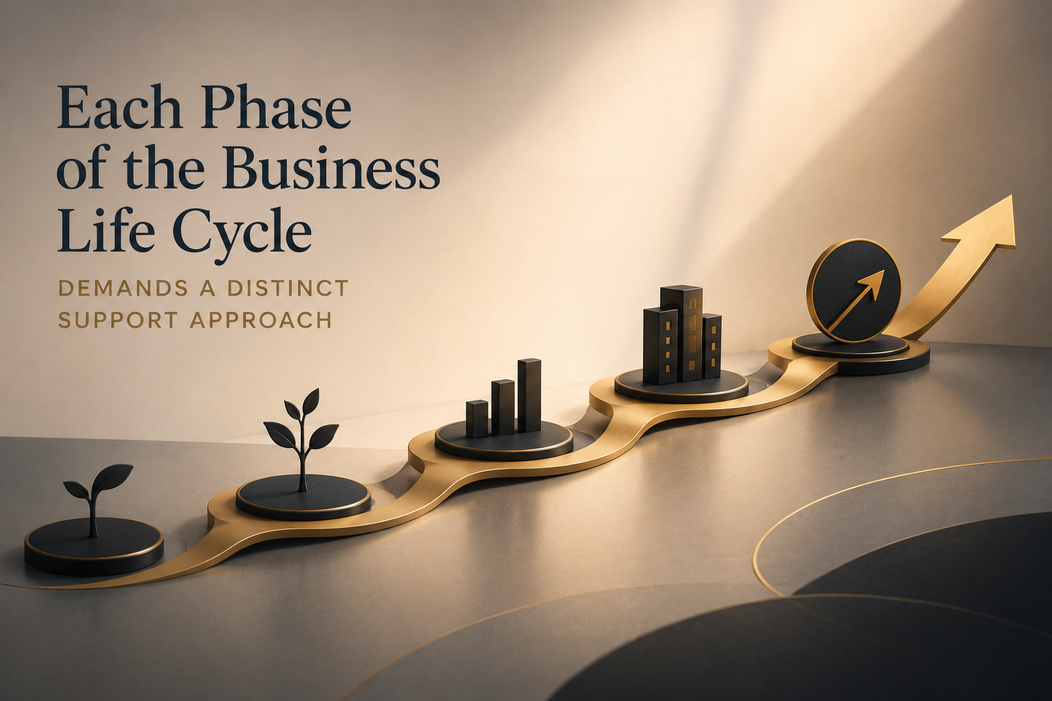 Each Phase of the Business Life Cycle Demands a Distinct Support Approach