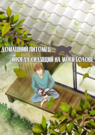 Домашний питомец, иногда сидящий на моей голове